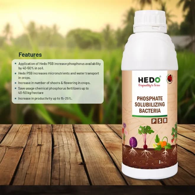 HEDO Phosphate Solubilizing Bacteria Liquid Bio Fertilizer, For Agriculture, Garden, Soil Fertility And Plant Nutrition. - Image 3