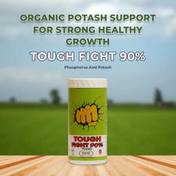 Anand Tough Fight 90% Powder Combination of Active Phosphorus And Potash, Helps In Increasing Yield. 2