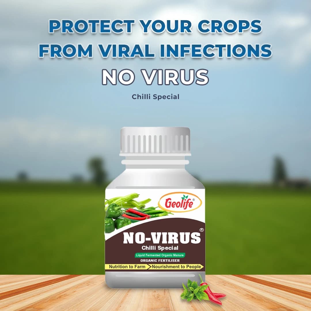 Geolife No-Virus Chilli Special, Liquid Fermented Organic Manure, Vriksha Ayurveda Inspired, Organic Fertilizer for Chilli, Improves Immunity & Yield, - Image 7