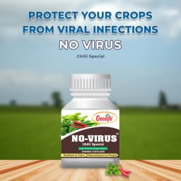 Geolife No-Virus Chilli Special, Liquid Fermented Organic Manure, Vriksha Ayurveda Inspired, Organic Fertilizer for Chilli, Improves Immunity & Yield, 7