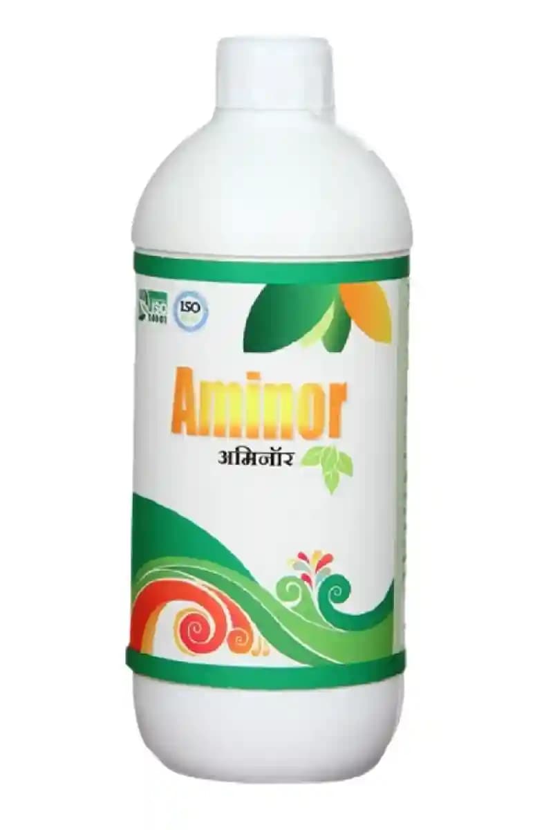 Aminor Amino Acid 20% , Amino Acids Help to Increase Chlorophyll Concentration In the Plant Leading to Higher Degree of Photosynthesis - Image 1