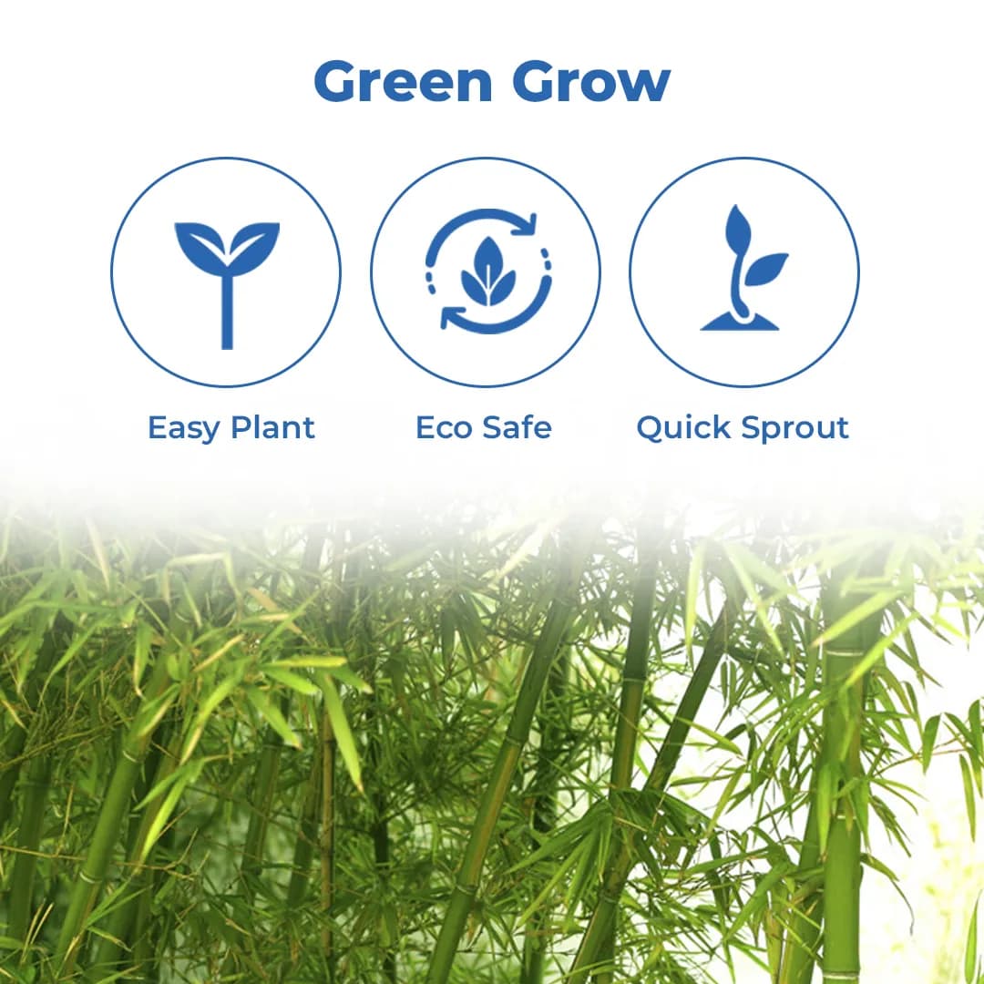 Seed Balls Just Throw & Grow (Bamboo or Mongil Seed Balls) Tree Seed Balls. Just throw on land or place in pot. - Image 3