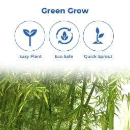 Seed Balls Just Throw & Grow (Bamboo or Mongil Seed Balls) Tree Seed Balls. Just throw on land or place in pot. 3