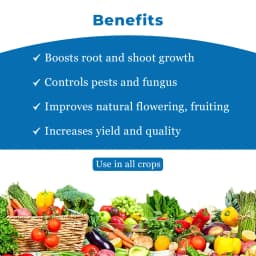 Ramban Combo (Neemz 500 ML + Forever 500 ML + NB-80 250 ML) For Initial Growth Stage Use In Any Crop 4