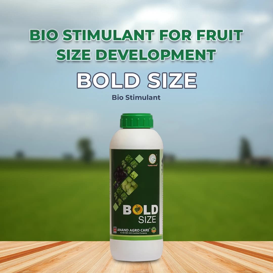 Anand Bold Size (Grapes Special) Bio Stimulant, For Size, Growth, Color And Shelf Life Of Grapes - Image 2