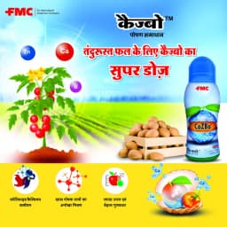FMC Cazbo (Calcium 21% + Zinc 1.5% + Boron 0.1%) Micronutrient, Helps Plants Build Cell Wall Structure and Strength, Use for All Crops. 6
