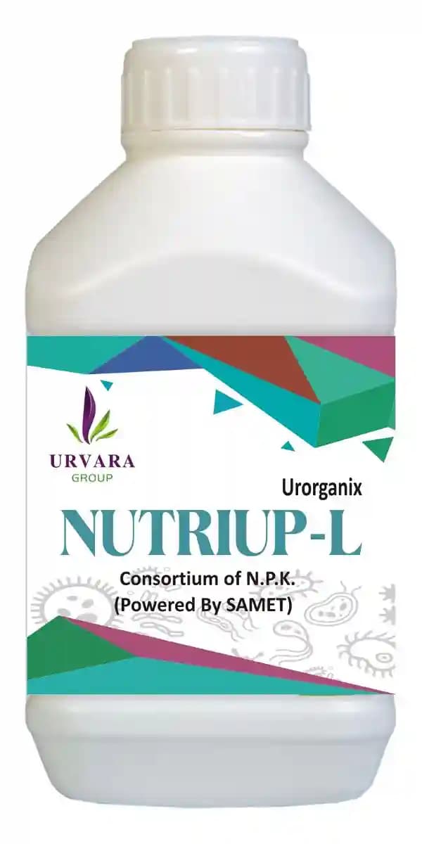 Nutriup - L - NPK Liquid Consortia of Nitrogen, Phosphorus & Potassium fixing bacteria for a combined mobilization of these nutrients from Soil - Image 2