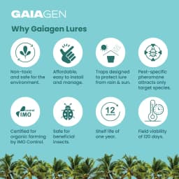 Gaiagen RB Lure Combo , Pheromone Lure For Rhinoceros Beetle Outdoor Plants (Oryctes Rhinoceros) and Insect Bucket Trap, IMO Certified. 4