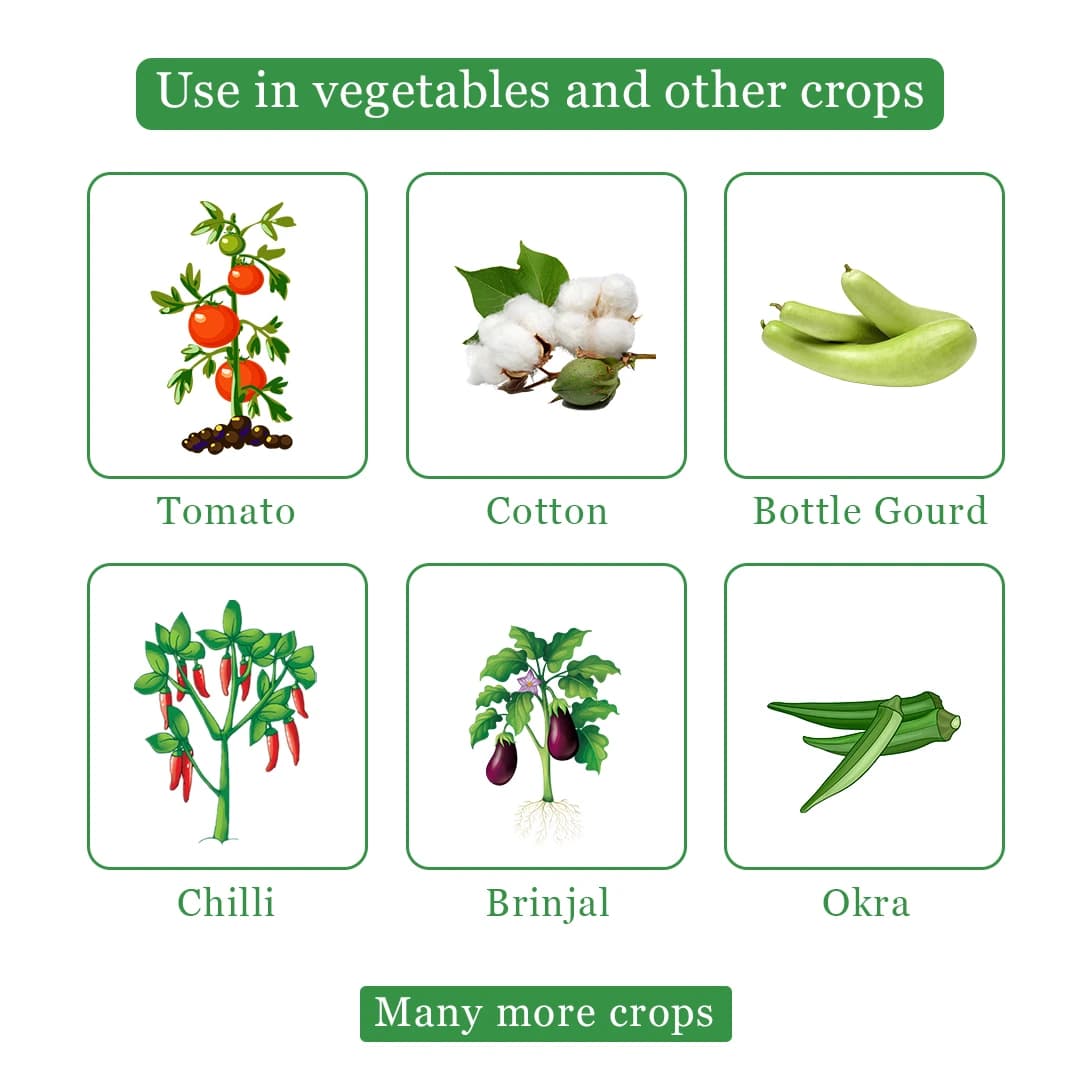Neemol Insecticide - Neem Oil 10000 PPM - Image 4
