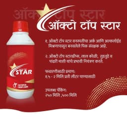 Octopus Top Star Bio Pesticide For Thrips, Red Mites, and Mealy Bugs, Eco-Friendly Solution 2