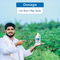 Titan Agritech ZINC PEP 7000, Zinc Oxide 39.5% SC, 100% Water Soluble Fertilizer for Plants and Garden, Liquid Formulation for Cereal, Cotton, Potato 5