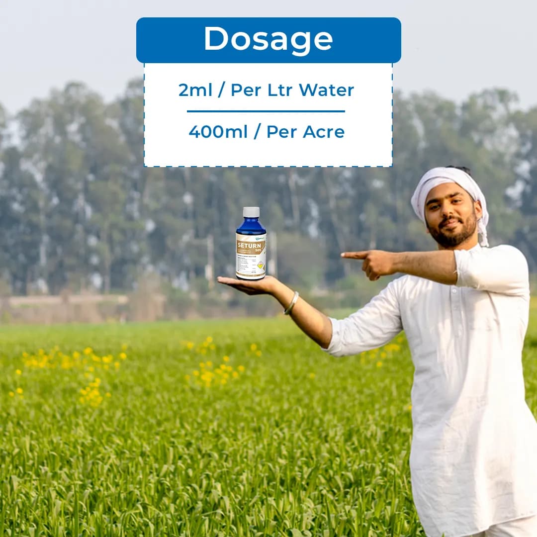 Seturn 505 Insecticide - Chlorpyriphos 50% + Cypermethrin 5% EC - Image 5