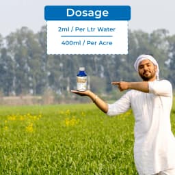 Seturn 505 - Chlorpyriphos 50% + Cypermethrin 5% EC Insecticide With Contact and Systemic Action 5