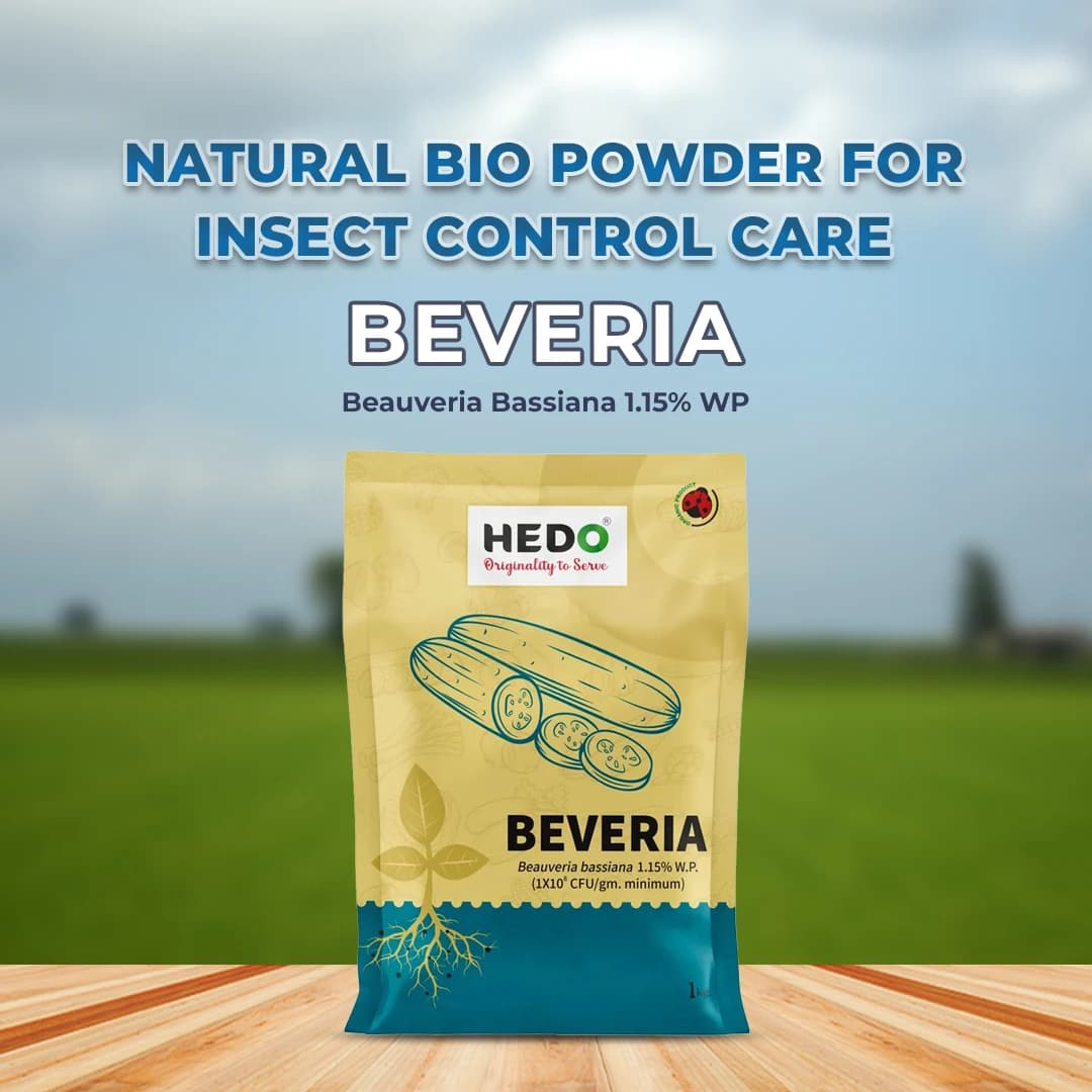 HEDO Beveria (Beauveria Bassiana 1.15% WP) Powder Bio Pesticide For Vegetables, Fruits & All Crops, Broad Spectrum Control - Image 2