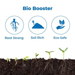 BACF Lyo Ceaxor, Unique combination of Compatible lyophilized Bacillus Strains 3