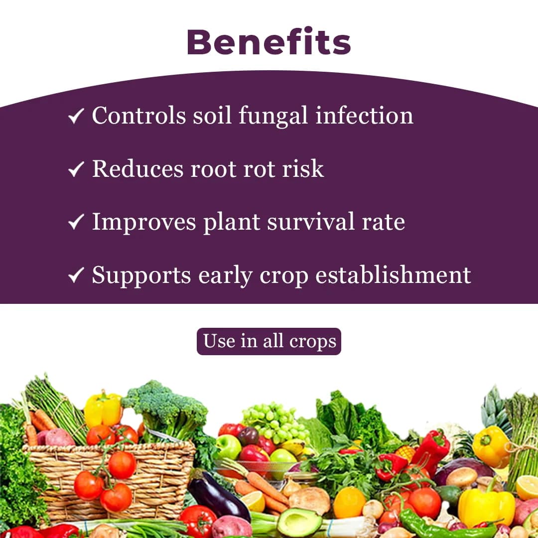 Exylon Venus Validamycin 3% L Fungicide, Broad-Spectrum, Fungal And Bacterial Diseases Controls In Crops - Image 4