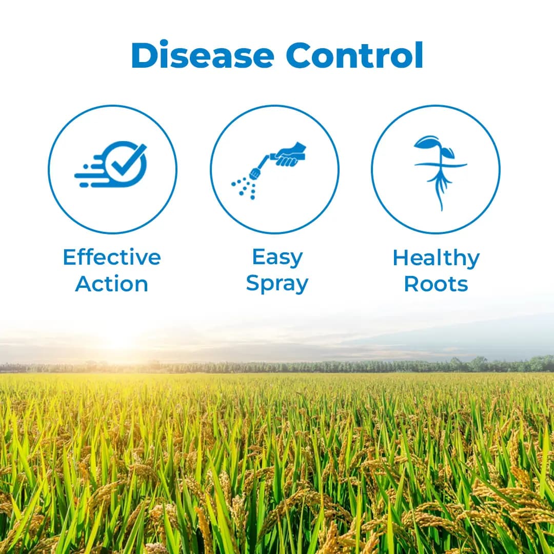 Agriventure Valida (Validamycin 3% Sl) Fungicide, Control The Sheath Blight Disease Of Rice Very Effectively - Image 3