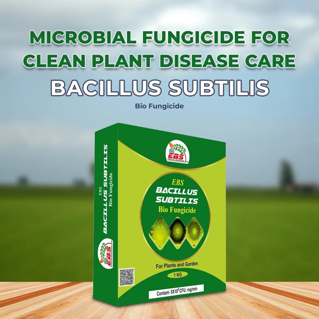 EBS Bacillus Subtilis Bio Fungicide Powder, Control Downy Mildew, Powdery Mildew And Bacterial Diseases For Plants And Home Garden - Image 2