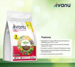 Jivanu (Potassium Solubilizing and Mobilizing Bacteria KSB, KMB) Bio Fertilizers 5