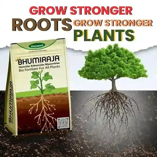 Katyayani Bhumiraja Mycorrhiza Bio Fertilizer, Advanced Mycorrhizal Fungi For Enhanced Soil Health and Plant Growth - Image 2