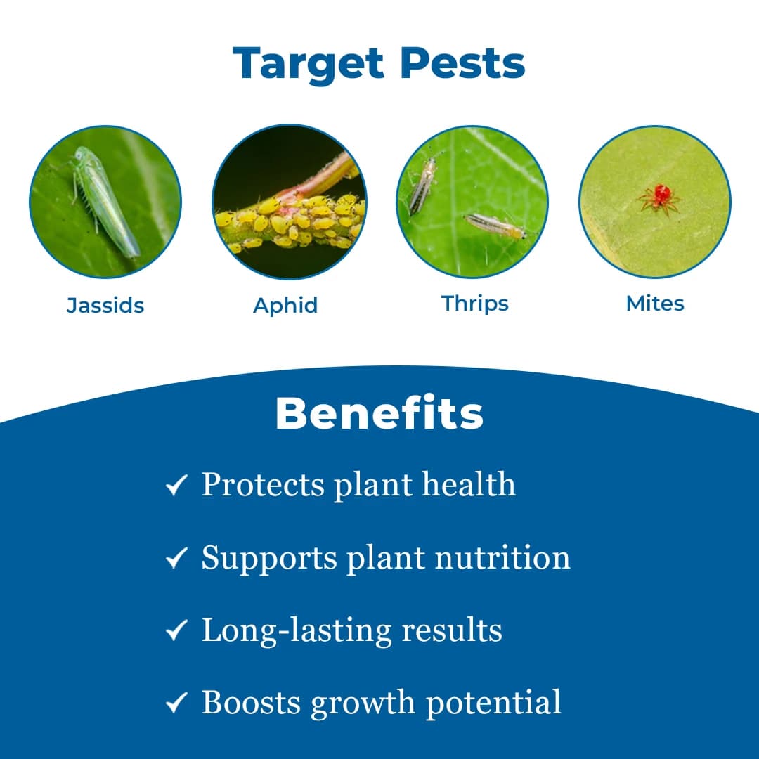 BACF Ilex Insecticide - Image 3