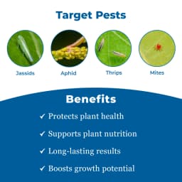 BACF Ilex Insecticide 3