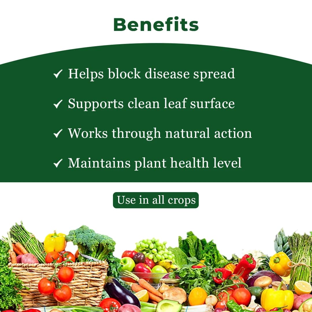 EBS Bacillus Subtilis Bio Fungicide, Control Downy Mildew, Powdery Mildew And Bacterial Diseases For Plants And Home Garden - Image 4