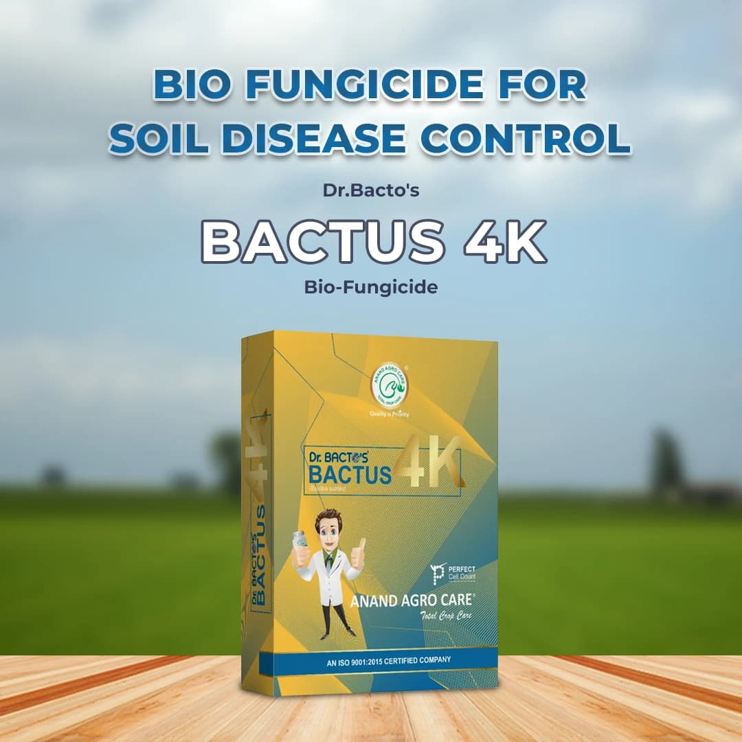 Dr. Bacto\'s Bactus 4K Bacillus Subtilis Bio-Fungicide, Inhibits Growth of Plant Fungal Pathogens and Helps to Enhance the Growth and Immunity of Plant - Image 2