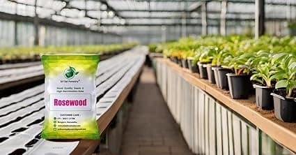 Sri Sai Forestry Shisham (Rosewood) Tree Seeds - Image 10