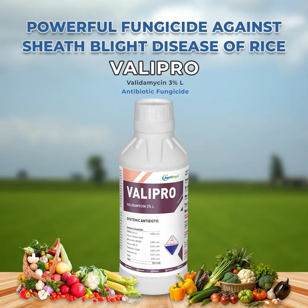 Valipro Fungicide - Validamycin 3% L - Image 2