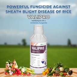 Valipro Fungicide - Validamycin 3% L 2
