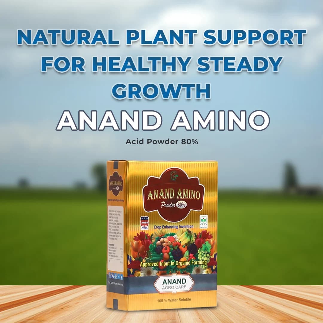 Anand Amino Acid Powder 80% - Image 2