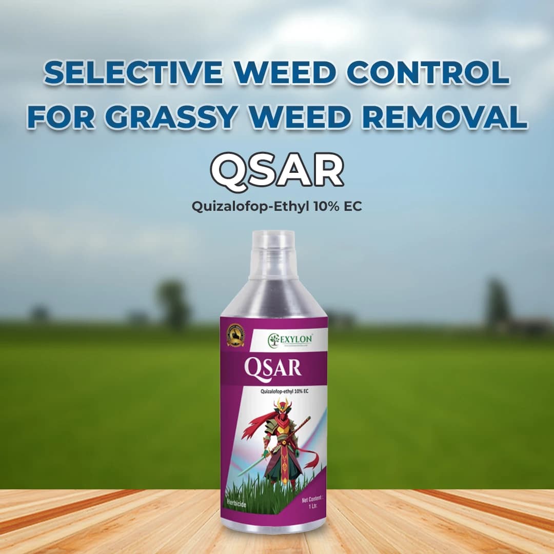 Exylon Qsar Quizalofop-Ethyl 10% EC Herbicide, Controls Grass Weeds In Broadleaf Crops - Image 2