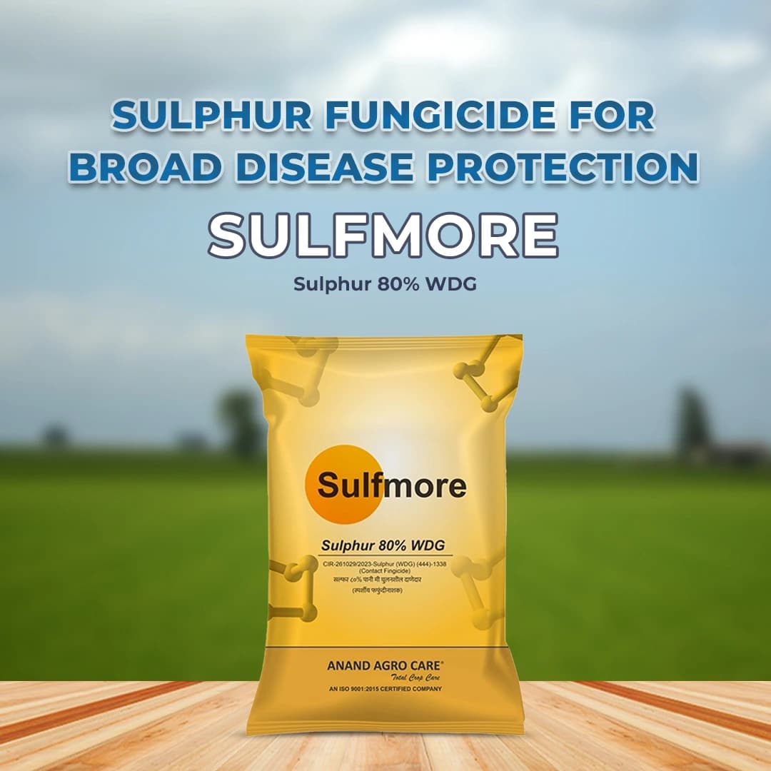 Anand Agro Sulfmore Sulphur 80% WDG Fungicide, Boost Crop Yields and Fight Fungal Diseases - Image 2
