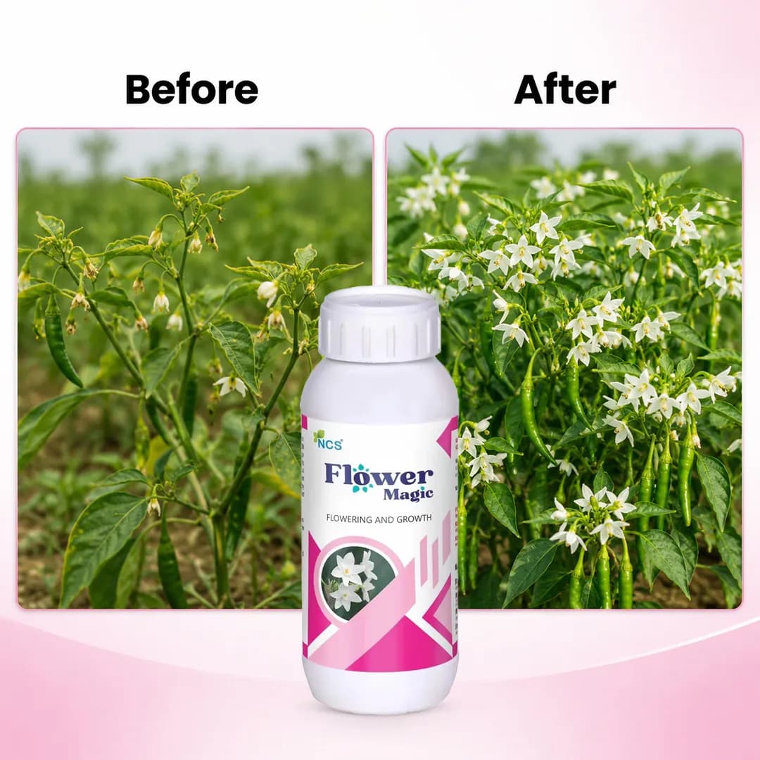 NCS Flower Magic - Flowering Stimulant - Image 6