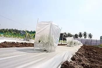 Radhe Agri 12x15 Inch Plant Protection Cover Non-Woven Fruit Bag - Image 2