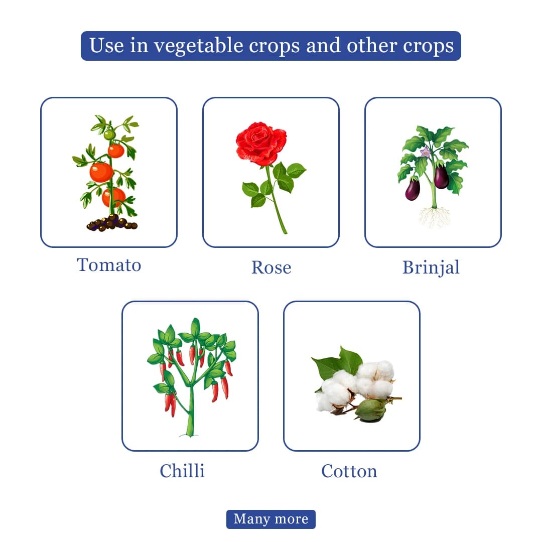 Crystal Abacin Insecticide - Image 4