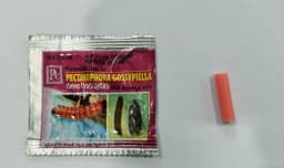 Pheromone Trap With Pectinophera Gossypilla Lure (10 Pack) Trap and Lure, Complete Set for Cotton Pink Bollworm, Protects Crops From Harmful Pests 4