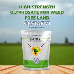 Tata Rallis Glytaf 71 Ammonium Salt Of Glyphosate 71% SG Herbicide, Effective Weed Control In Tea And Non-Crop Area 2