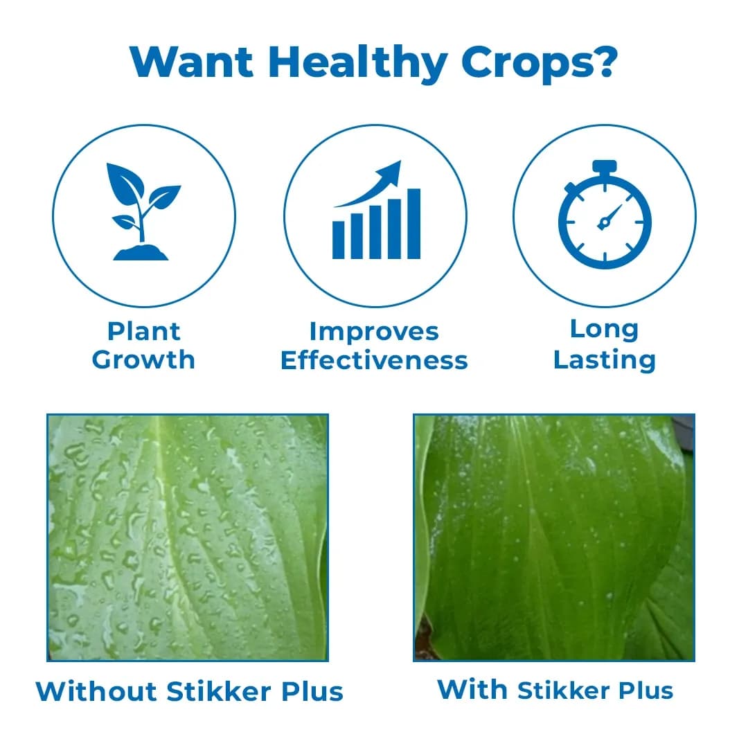 Stikker Plus (Silicone Based Spreader, Sticker and Penetrator), Based on Non Ionic Surfactants & Silicone Compounds - Image 3