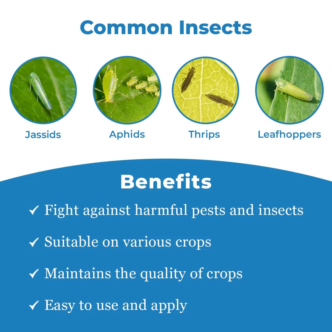 Bomba Pro Insecticide - Imidacloprid 70% WG - Image 3