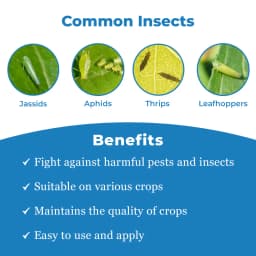 Bomba Pro Insecticide - Imidacloprid 70% WG 3