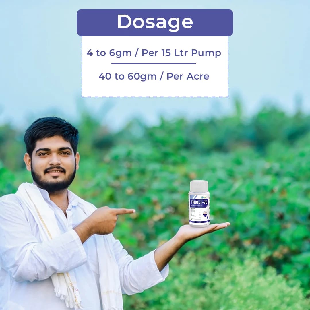 Thiolt-70 Insecticide - Thiamethoxam 70% WS - Image 5