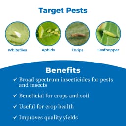 Thiolt-25 Insecticide - Thiamethoxam 25% WG 3