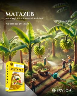 Exylon Matazeb Metalaxyl 8% + Mancozeb 64% WP Fungicide, Dual Action Mode, Control Fungal Diseases In Various Crops 2