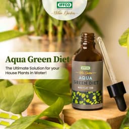 IFFCO Urban Garden Aqua Green Diet Liquid Fertilizer, For Water Plant Food, Boost Growth For Lucky Bamboo, Money Plant, Pothos, And More 4