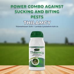 Agriventure Thilamcy Insecticide - Thiamethoxam 12.6% + Lambda-Cyhalothrin 9.5% Zc 2