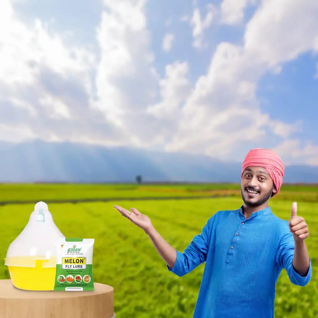 Maxplus Trap With Melon Fly Lure, For Controlling Bactrocera Cucurbitae, For Water Melon, Musk Melon, Cucumber, Bottle Gourd, Pumpkin, all Vegetables - Image 5