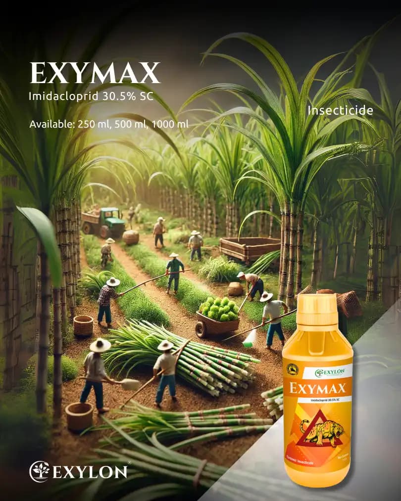 Exylon Exymax Imidacloprid 30.5% SC Insecticide, Effective For Sucking Pests Control - Image 2