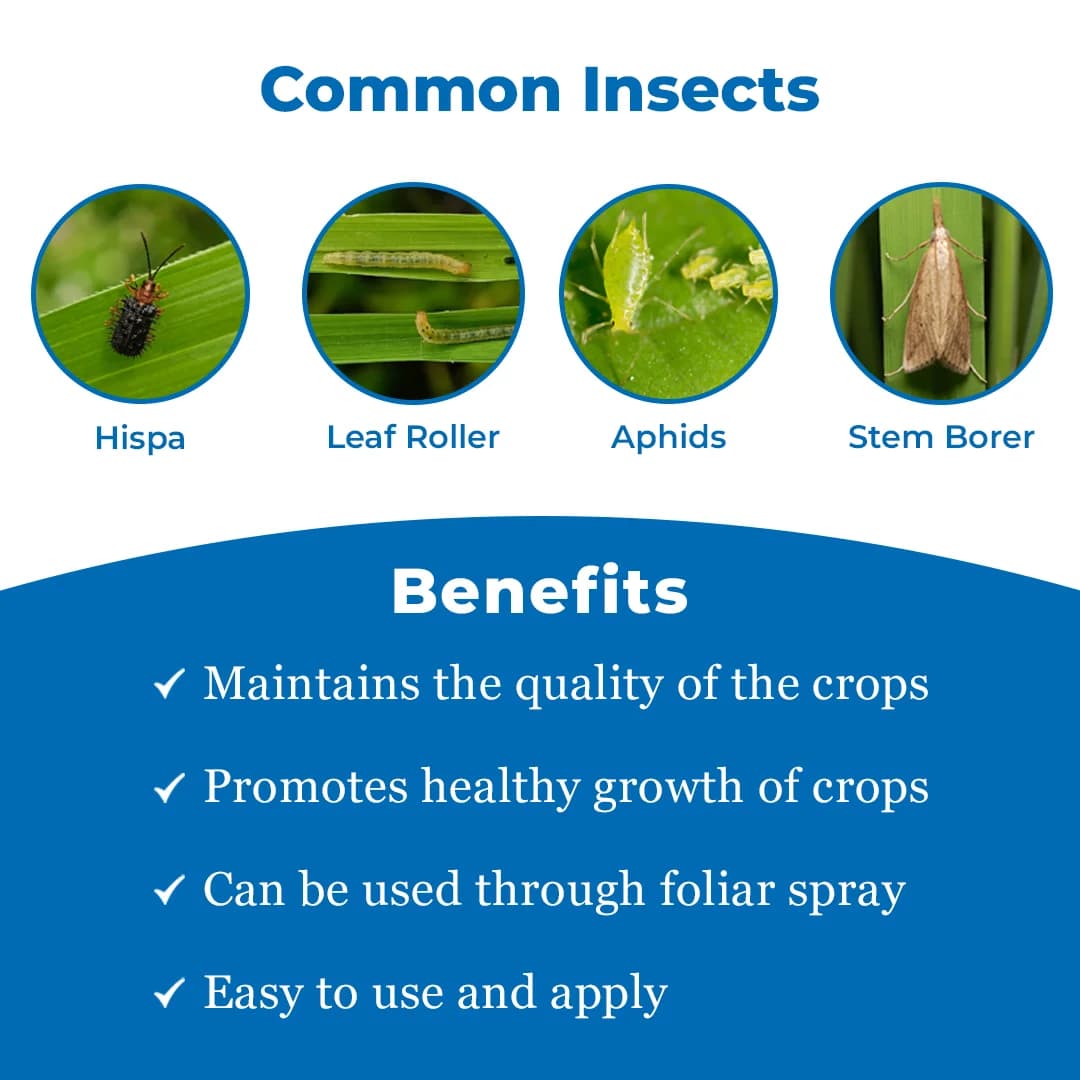 Carbine 20 - Chlorpyriphos 20% EC - Image 3